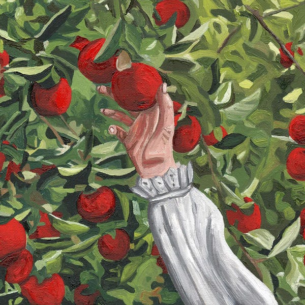 Foodie: Apple Orchard by Cansu Rossi