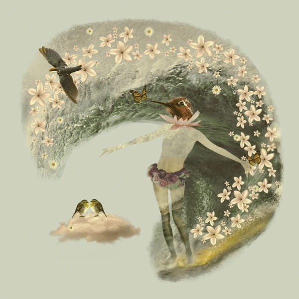 Monarch Butterflies: Flower Surfer by Caroline Keslassy