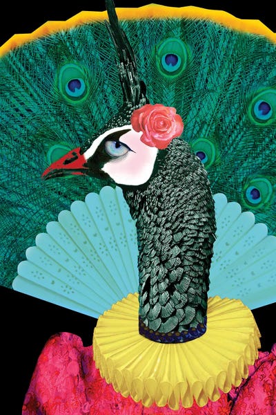 Peacocks: Gisele by Caroline Keslassy