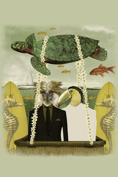 Turtles: Surf Trip by Caroline Keslassy