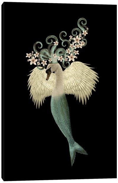Swan-Maid Canvas Art Print - Mermaid Art