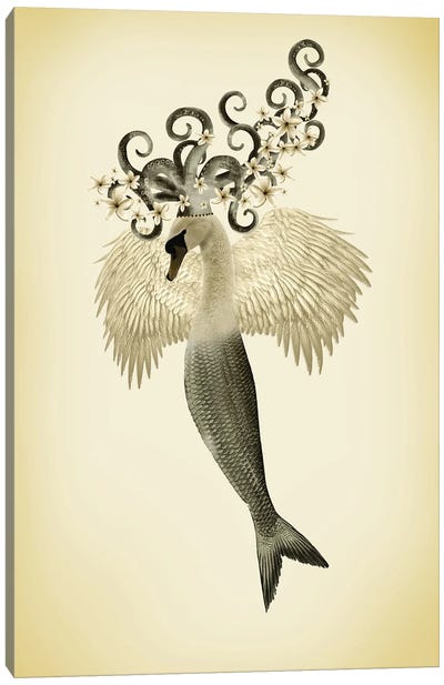 Swan-Maid Vintage Canvas Art Print - Mermaid Art