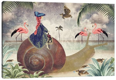 Take Your Time Horizontal Canvas Art Print - Flamingo Art