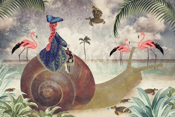 Snails