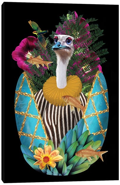 George Canvas Art Print - Ostrich Art