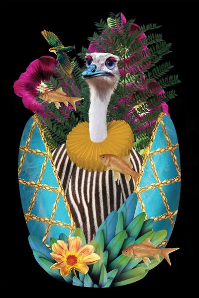 Ostriches: George by Caroline Keslassy