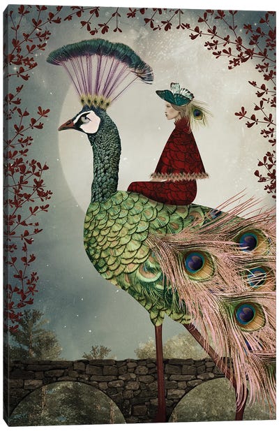 Night Watch Canvas Art Print - Peacock Art