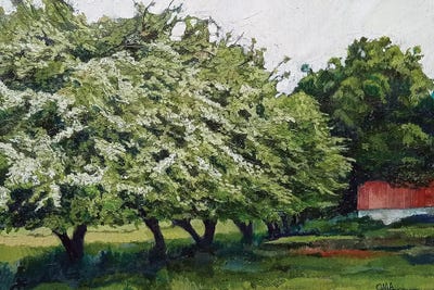 The May Garden by Catherine Patrickson metal wall art