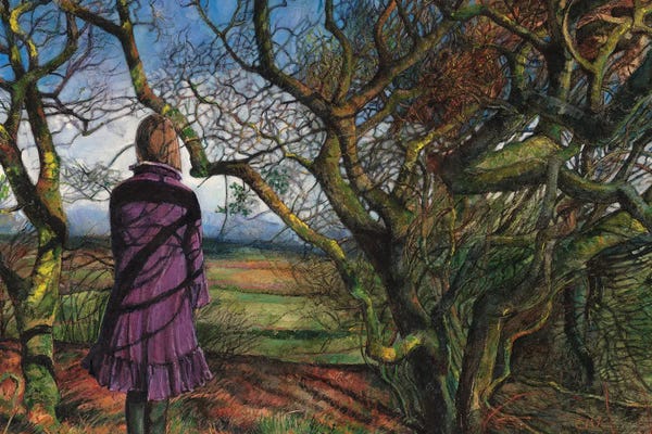 Cozy Cottage: Coney's Castle by Catherine Patrickson