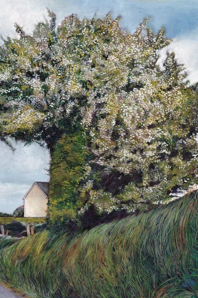 Cozy Cottage: Cutaway by Catherine Patrickson