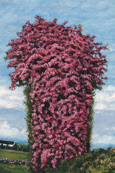 Barns: Primavera by Catherine Patrickson