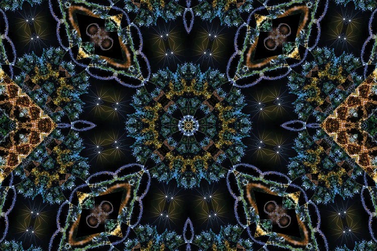 Cannabis Kaleidoscope X