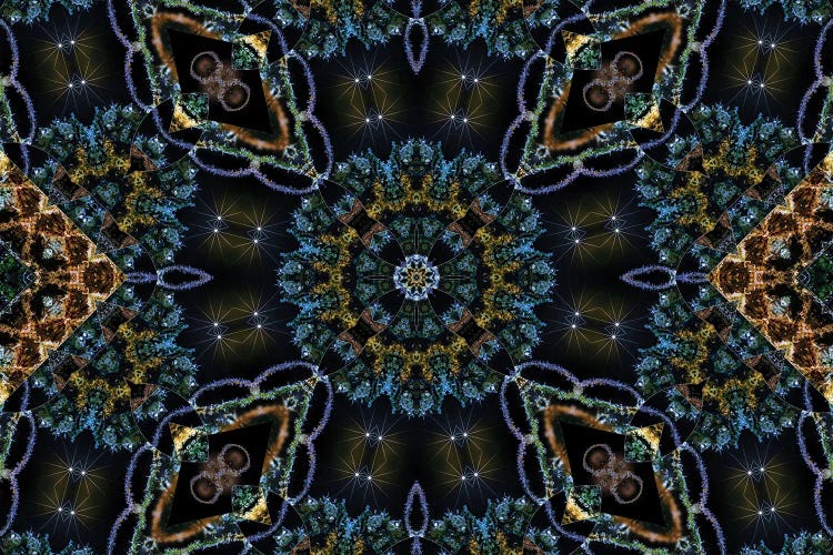 Cannabis Kaleidoscope X
