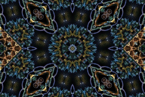 Naum Dorkhman: Cannabis Kaleidoscope X by Naum Dorkhman