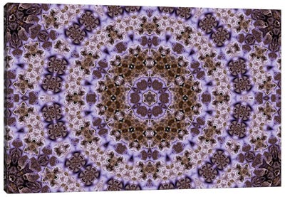 Cannabis Kaleidoscope IX Canvas Art Print - Purple Art