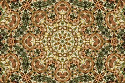 Cannabis Kaleidoscope XIX by Naum Dorkhman canvas print