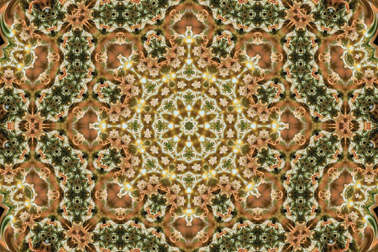Cannabis Kaleidoscope XIX