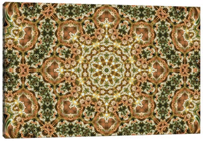 Cannabis Kaleidoscope XIX Canvas Art Print - Psychedelic & Trippy Art