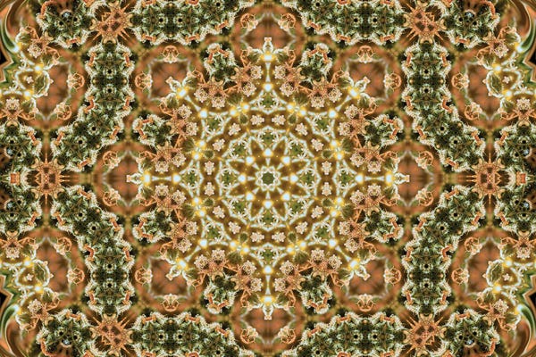 Naum Dorkhman: Cannabis Kaleidoscope XIX by Naum Dorkhman