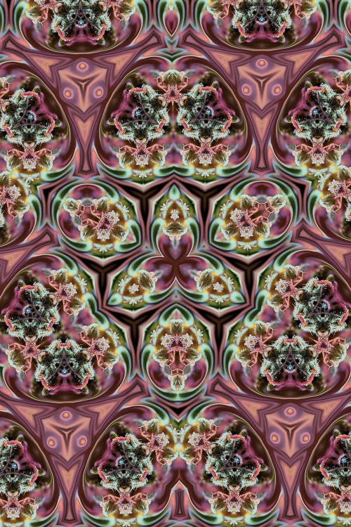 Cannabis Kaleidoscope XX