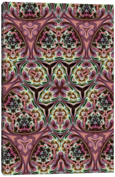 Cannabis Kaleidoscope XX Canvas Art Print - Psychedelic & Trippy Art