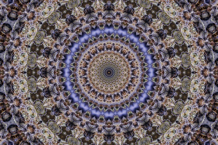 Cannabis Kaleidoscope I