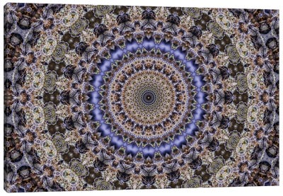 Cannabis Kaleidoscope I Canvas Art Print - Purple Art