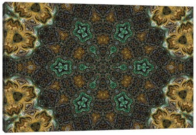 Cannabis Kaleidoscope XIV Canvas Art Print - Naum Dorkhman