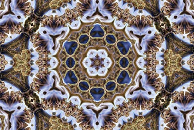 Cannabis Kaleidoscope XVII by Naum Dorkhman framed wall art