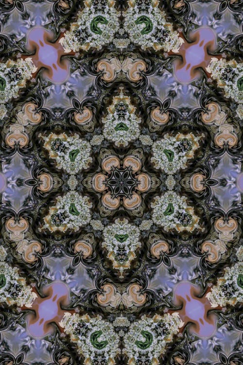 Cannabis Kaleidoscope V