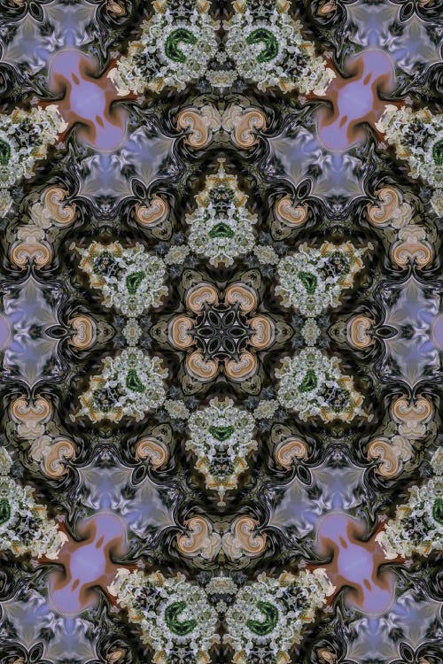 Cannabis Kaleidoscope V by Naum Dorkhman wall art