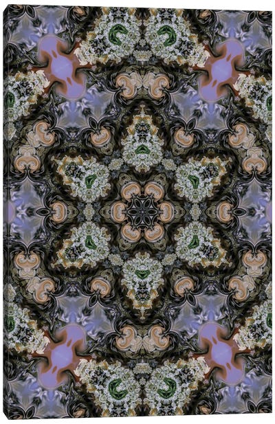 Cannabis Kaleidoscope V Canvas Art Print - Naum Dorkhman