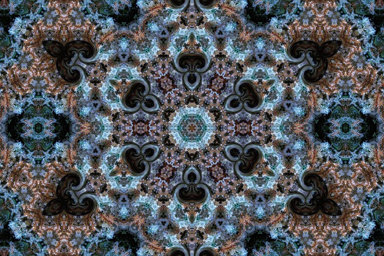 Cannabis Kaleidoscope XXVI