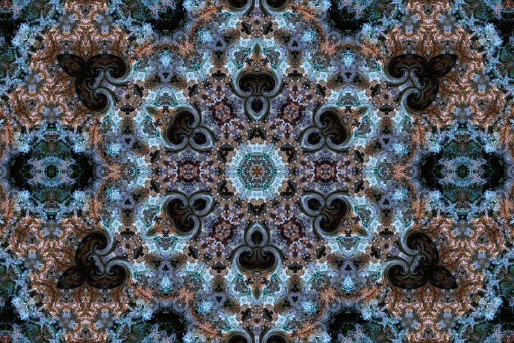 Cannabis Kaleidoscope XXVI