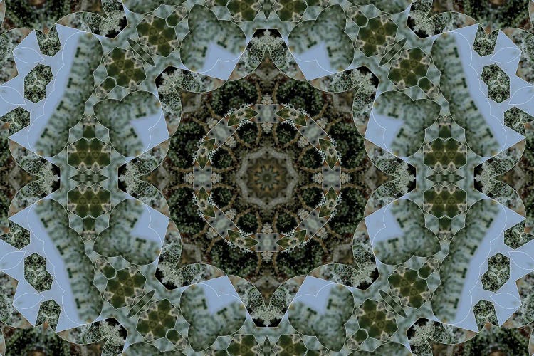 Cannabis Kaleidoscope VIII