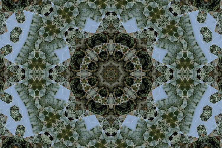 Cannabis Kaleidoscope VIII