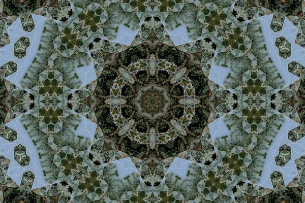 Naum Dorkhman: Cannabis Kaleidoscope VIII by Naum Dorkhman