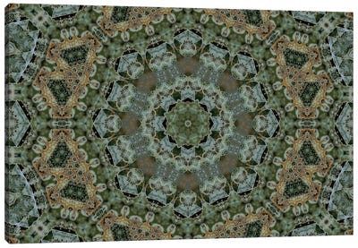 Cannabis Kaleidoscope XII Canvas Art Print - Psychedelic & Trippy Art