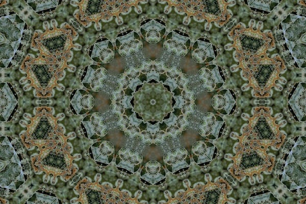 Naum Dorkhman: Cannabis Kaleidoscope XII by Naum Dorkhman