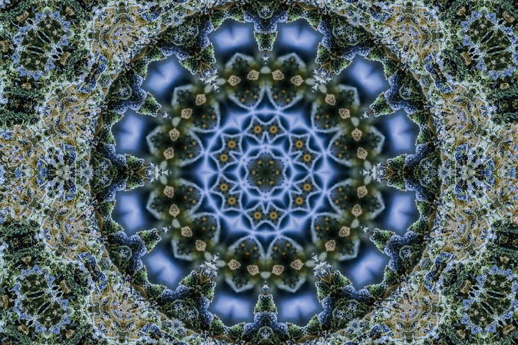 Cannabis Kaleidoscope VI