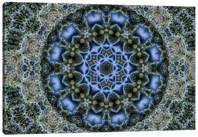 Cannabis Kaleidoscope VI Canvas Art Print - Naum Dorkhman