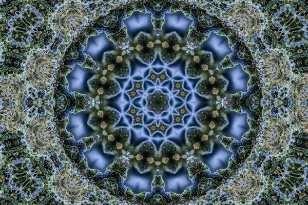 Naum Dorkhman: Cannabis Kaleidoscope VI by Naum Dorkhman