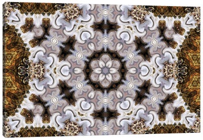 Cannabis Kaleidoscope XI Canvas Art Print - Psychedelic & Trippy Art