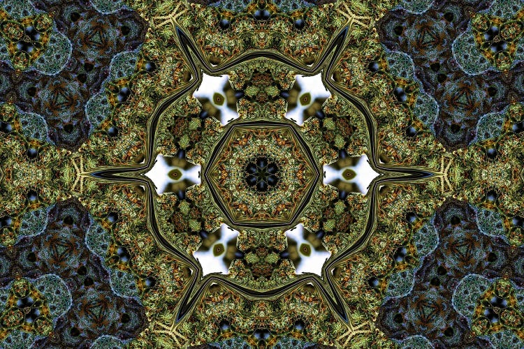 Cannabis Kaleidoscope II