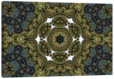 Cannabis Kaleidoscope II Canvas Art Print - Abstracts in Nature
