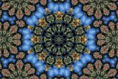 Cannabis Kaleidoscope XV by Naum Dorkhman framed wall art
