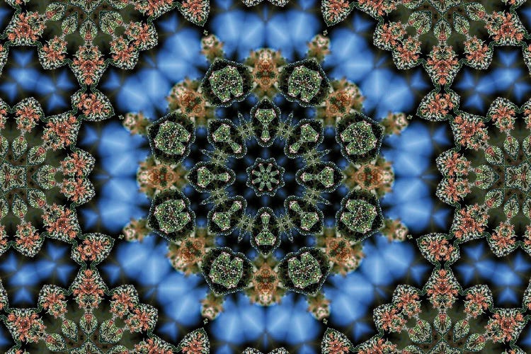 Cannabis Kaleidoscope XV