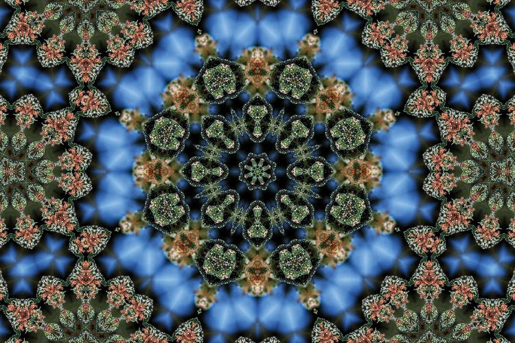 Cannabis Kaleidoscope XV
