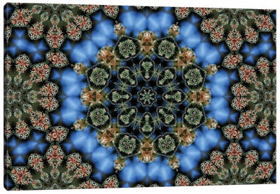 Cannabis Kaleidoscope XV Canvas Art Print - Psychedelic & Trippy Art