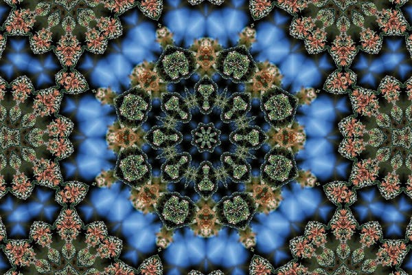 Naum Dorkhman: Cannabis Kaleidoscope XV by Naum Dorkhman